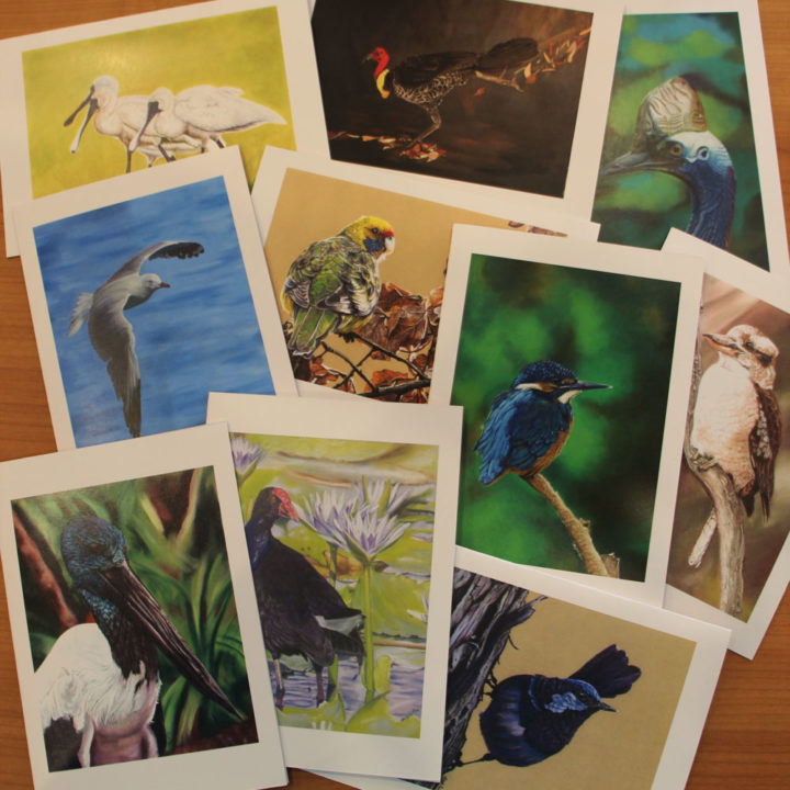 10 Bird Cards