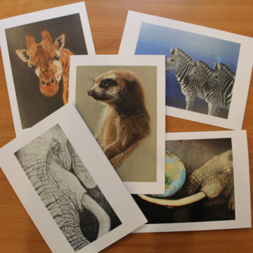 5 African Animal Cards