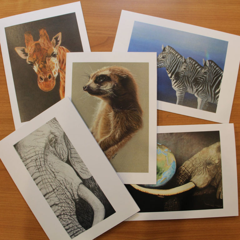 African Animal 5 Art Cards - Bingara Gallery