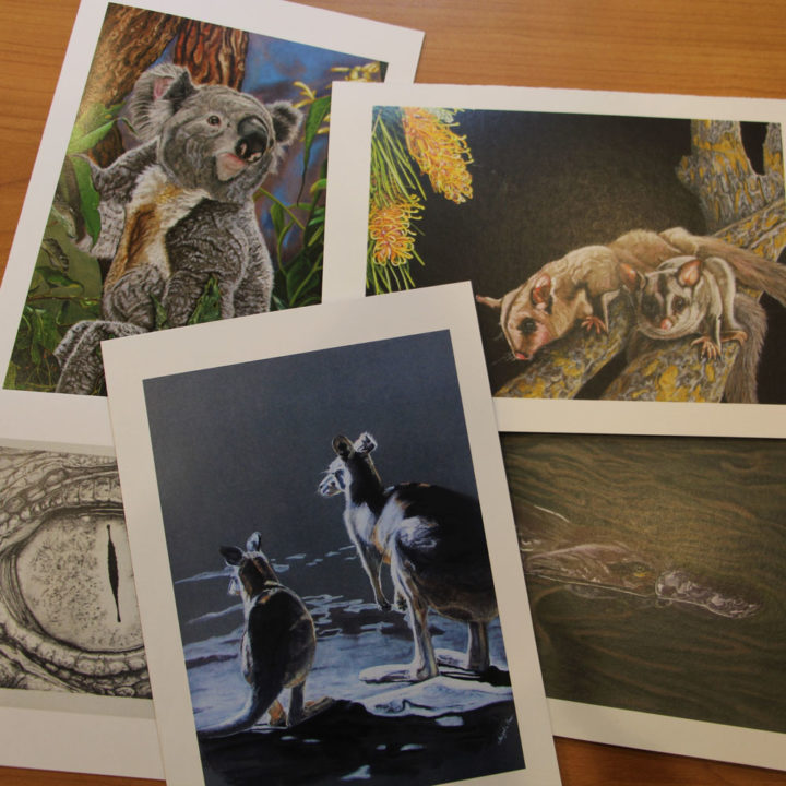 australian-animal-5-art-cards-bingara-gallery