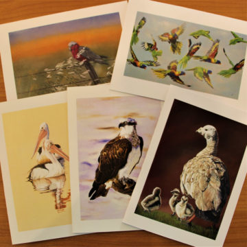 5 Bird Cards
