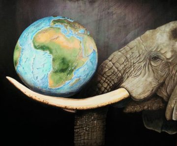 Only an Elephant Needs Ivory