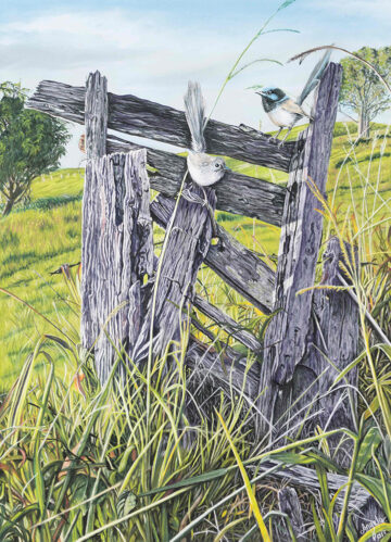 Sitting on the Fence